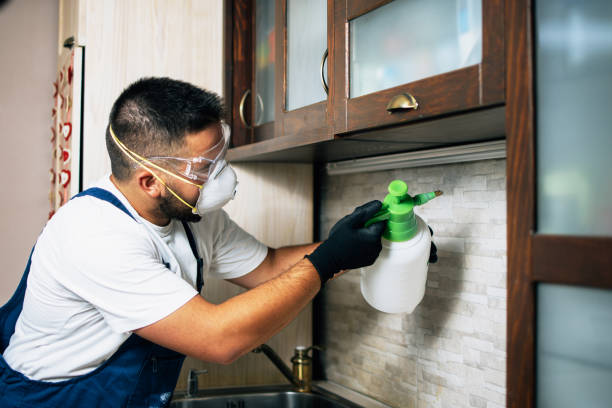Best Cockroach Control Services  in Cetronia, PA