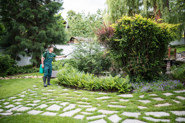Best Pest Control Near Me  in Cetronia, PA