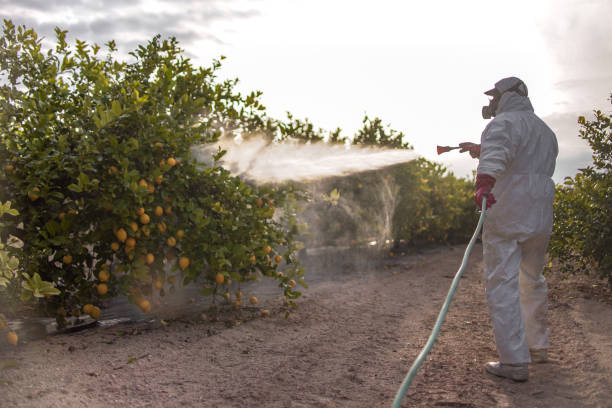 Best Local Pest Control Services  in Cetronia, PA