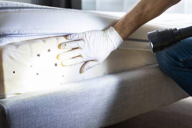 Best Pest Removal Services  in Cetronia, PA