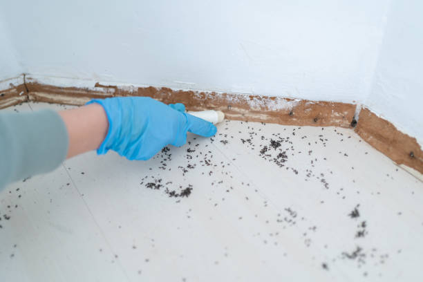 Best Emergency Pest Control  in Cetronia, PA